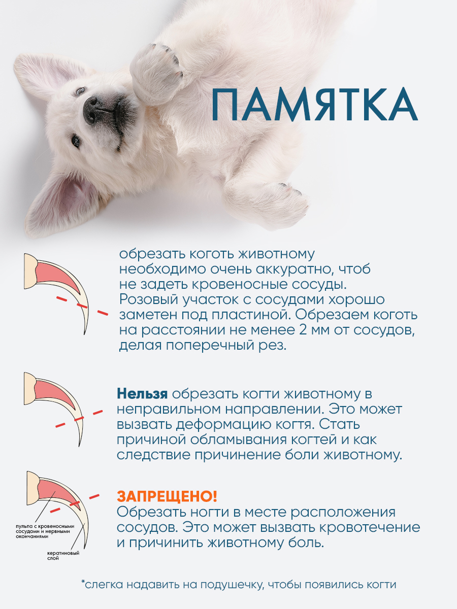 Когтерез-секатор DeLIGHT средний со стопором 40112М