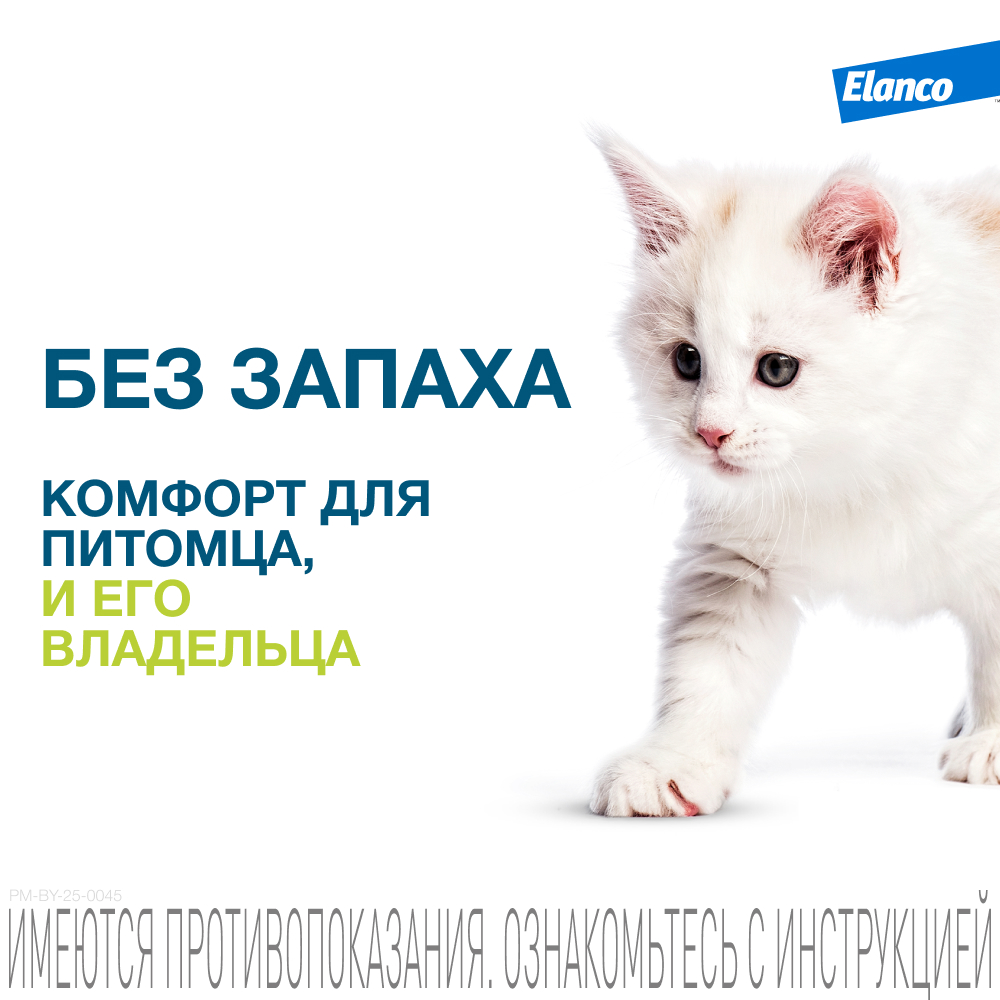 Ошейник для кошек ELANCO Форесто от клещей, блох и вшей, защита 8 месяцев