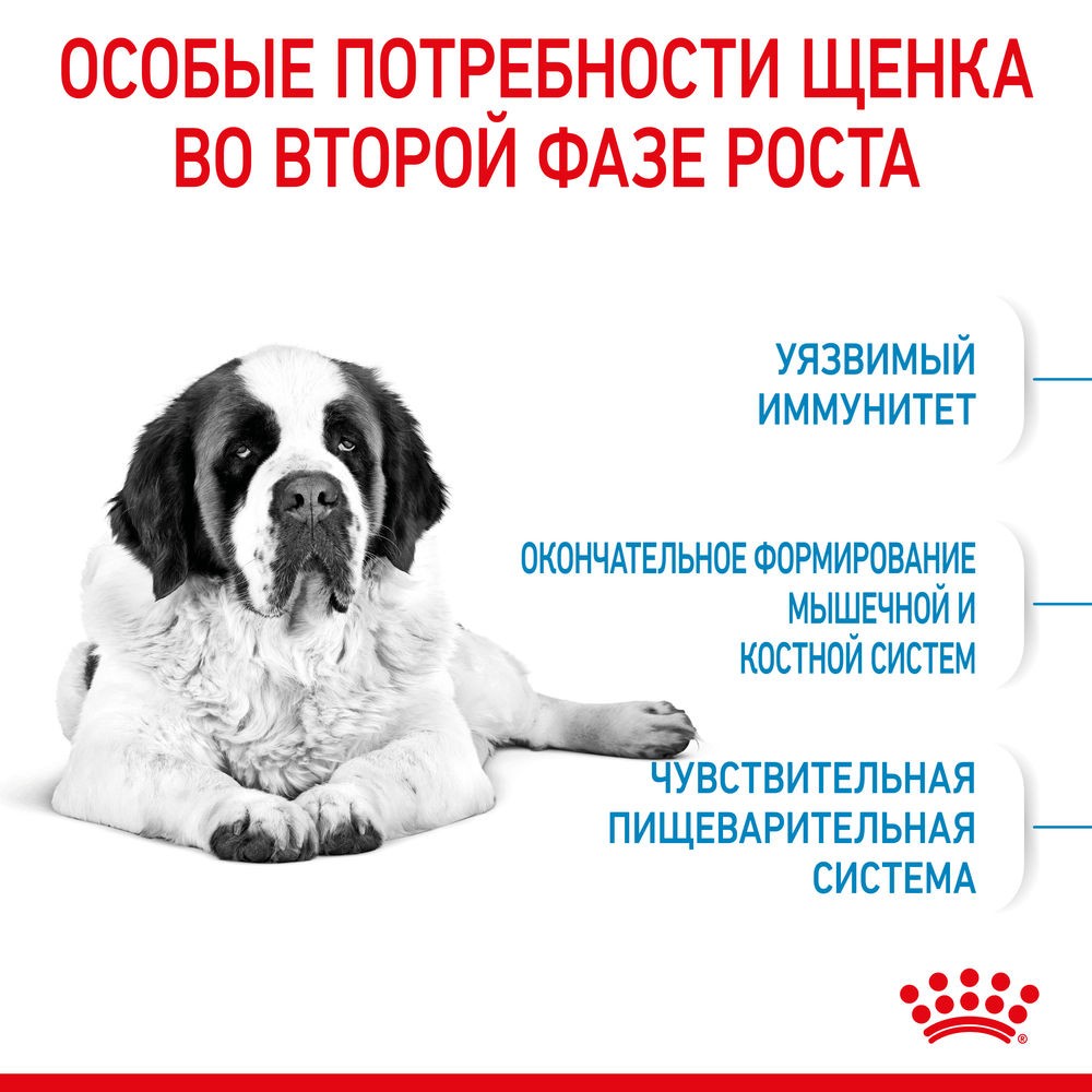 Корм для щенков ROYAL CANIN Giant Junior для очень крупных пород от 8 месяцев сух.