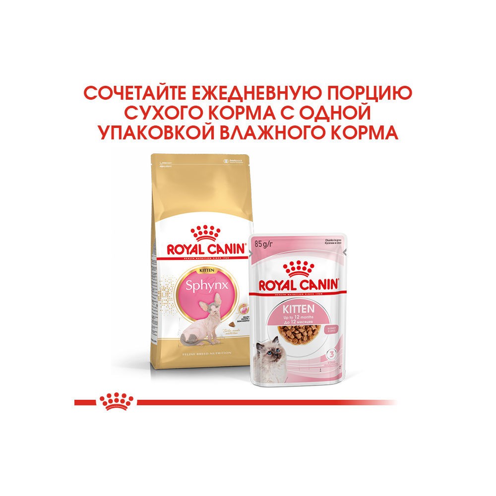 Корм для котят ROYAL CANIN Sphynx сбалансированный для породы Сфинкс, сух.