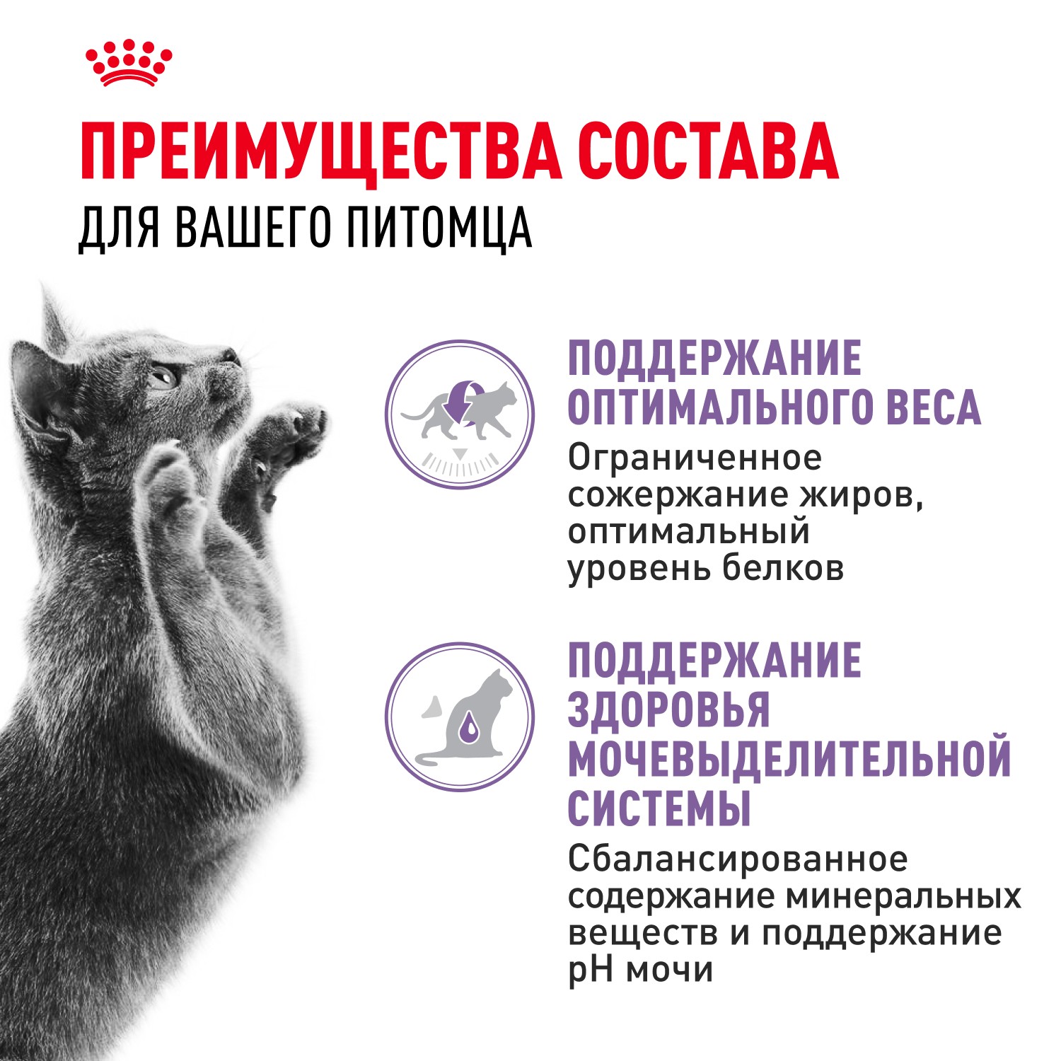 Корм для кошек ROYAL CANIN Sterilised для стерилизованных, мясо в желе пауч