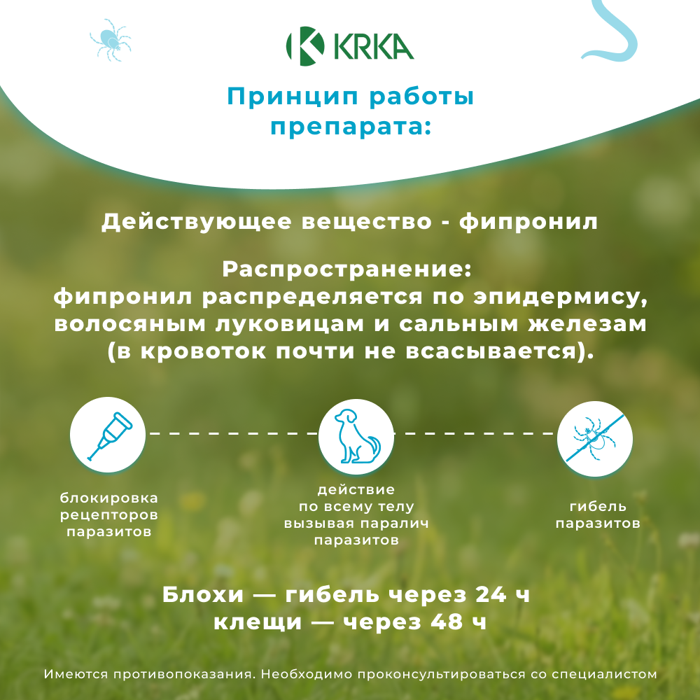 Капли для собак KRKA Фиприст Спот Он 20-40кг 268мг (3 пипетки в упак.)