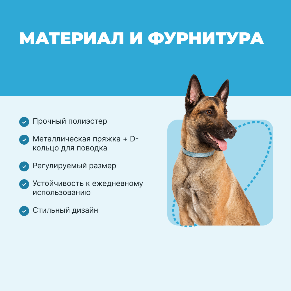 Ошейник для собак FOXIE Lily XL 2,5х55см голубой