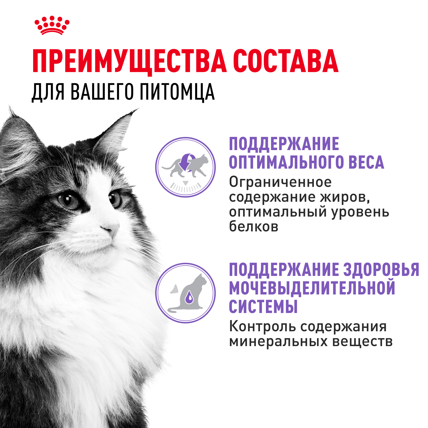 Корм для кошек ROYAL CANIN Sterilised для стерилизованных, паштет пауч