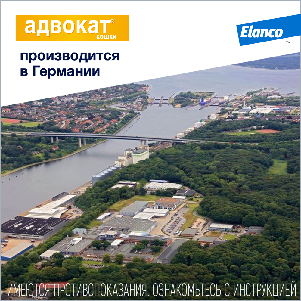 Капли для кошек ELANCO Адвокат от чесоточных клещей, блох и гельминтов (до 4кг веса) 0,4мл,1 пип.в уп