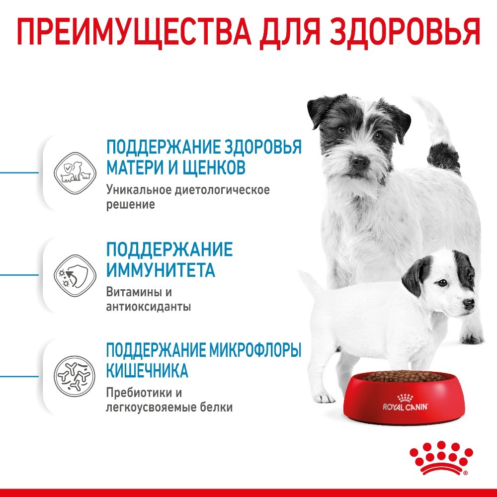 Корм для щенков, беременных и кормящих собак ROYAL CANIN Starter Mother&Babydog Mini для мелких пород сух.