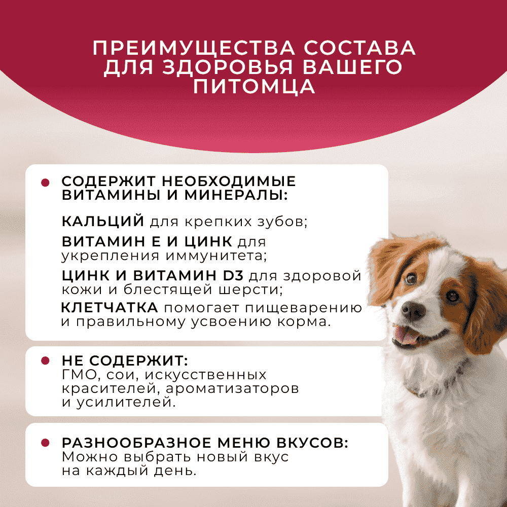 Корм для собак ОБЖОРКА кусочки в соусе с говядиной пауч