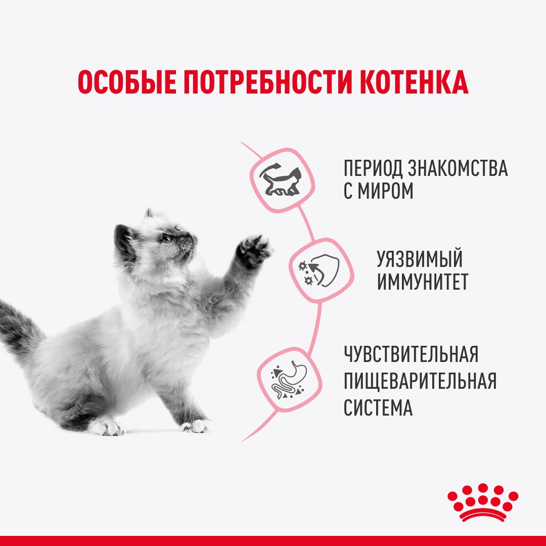 Корм для котят ROYAL CANIN Kitten Sterilised для стерилизованных от 6 мес., кусочки в соусе пауч