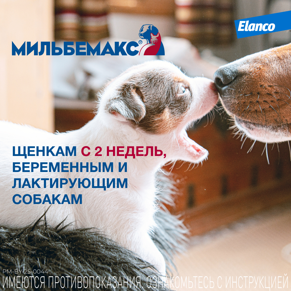 Антигельминтик для собак и щенков ELANCO Мильбемакс (0,5-5кг), 2 таблетки