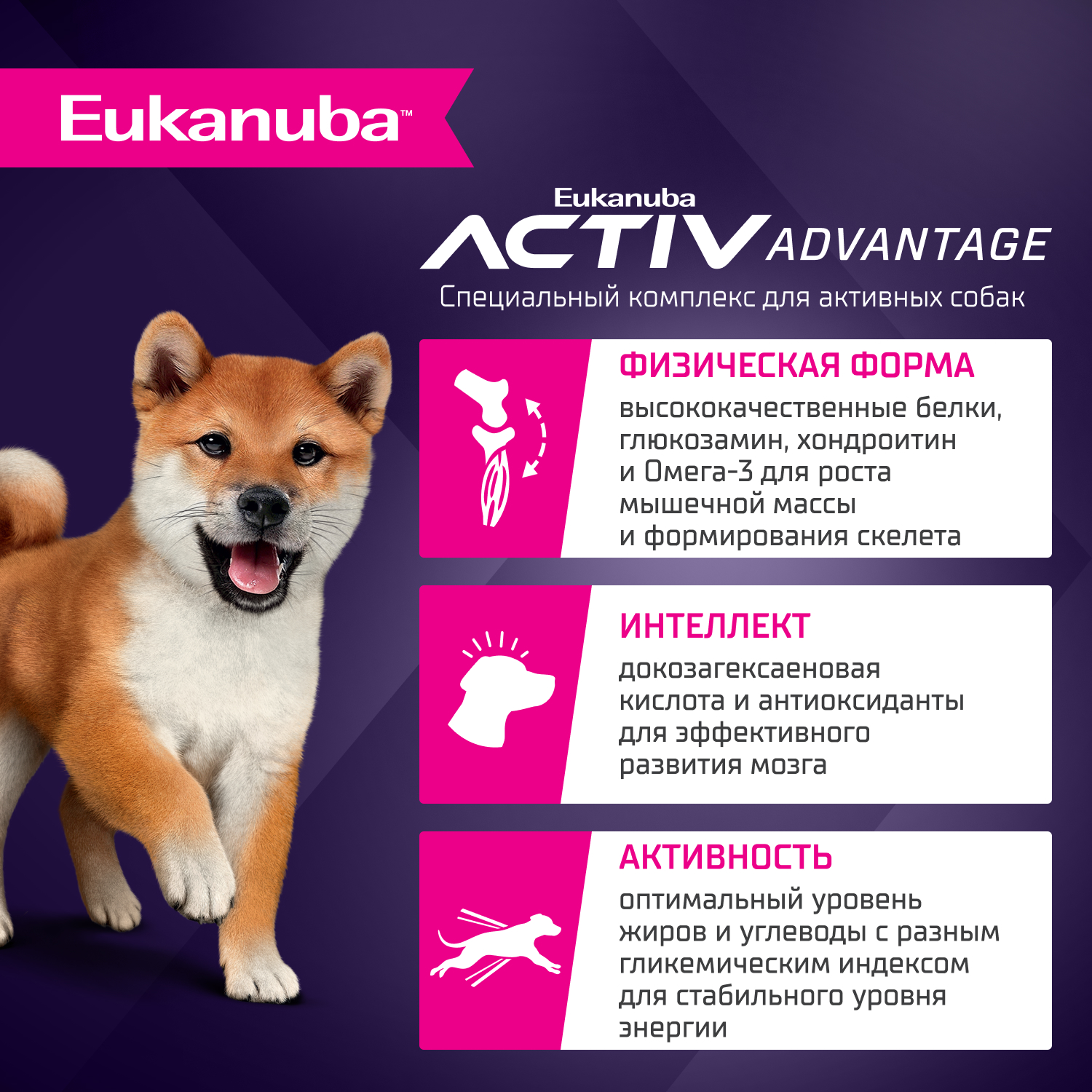 Корм для щенков EUKANUBA для мелких и средних пород до 12 мес., с ягненком сух.