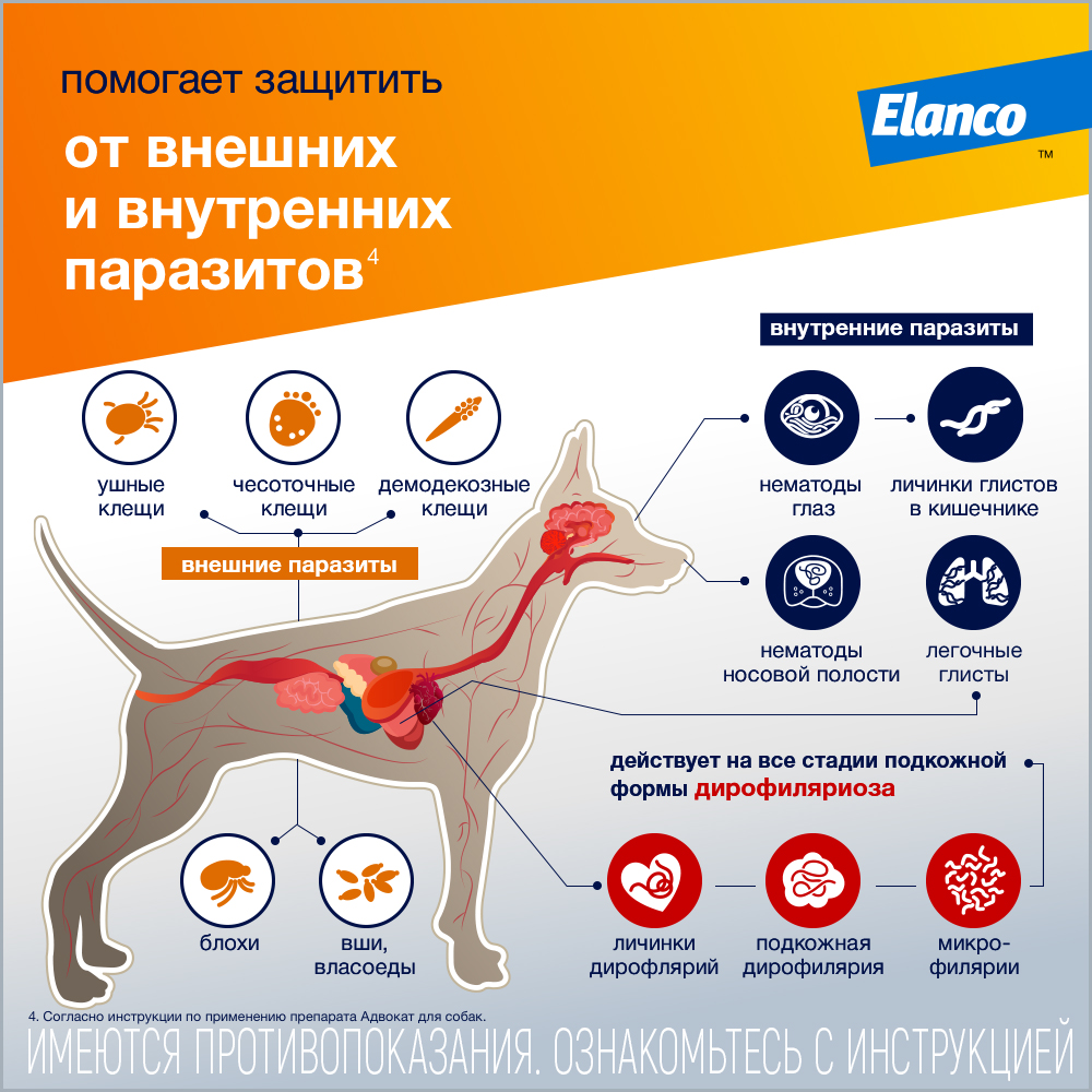 Капли для собак ELANCO Адвокат 250 от чесоточных клещей, блох и гельм. 10-25кг 2,5мл 1 пип.в упак.