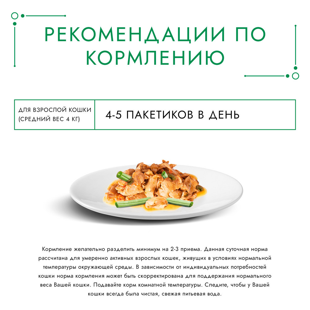 Корм для кошек ГУРМЭ Натуральные рецепты с лососем-гриль и зеленой фасолью пауч