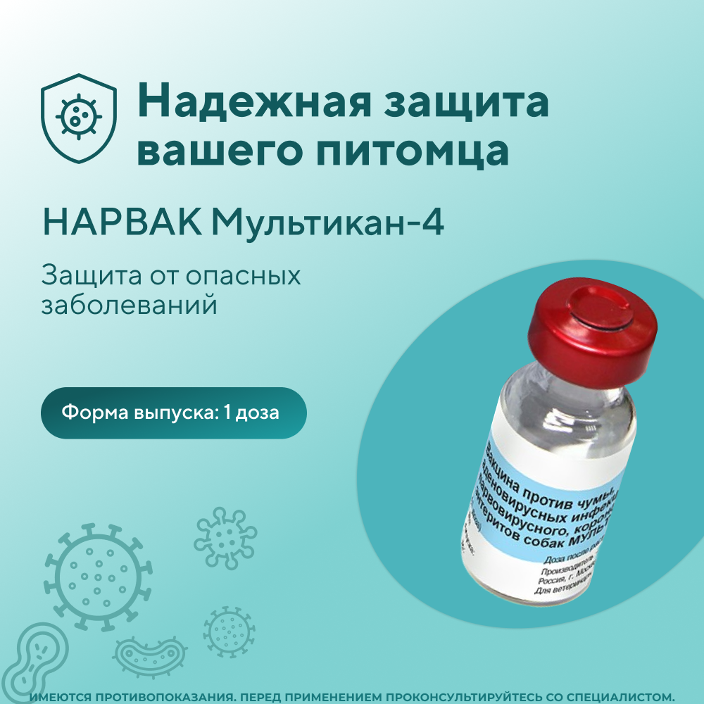 Вакцина для собак НАРВАК Мультикан-4, 1 доза