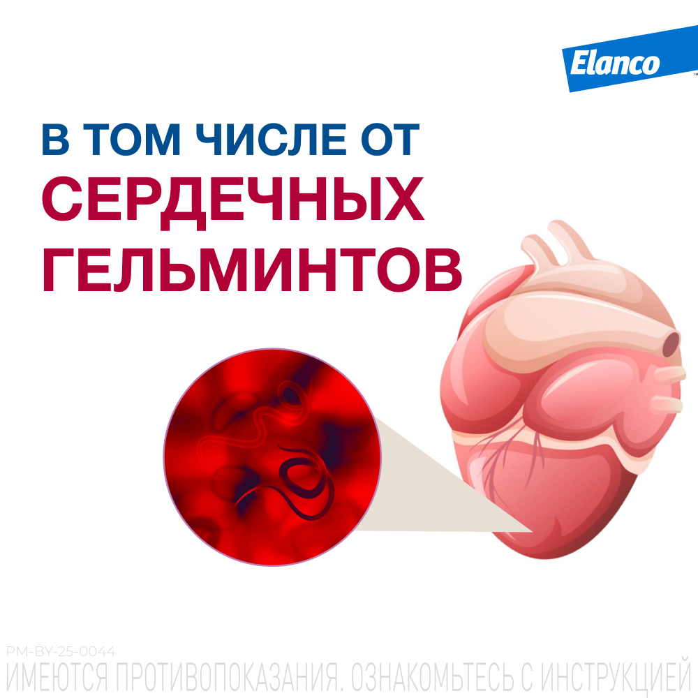 Антигельминтик для кошек ELANCO Мильбемакс (4-8кг), 2 таблетки