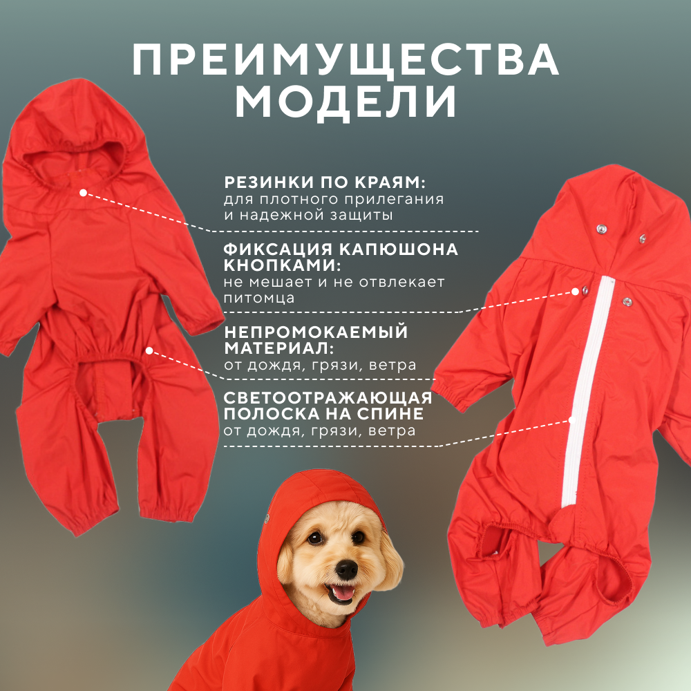 Дождевик для собак FOXIE Sport красный