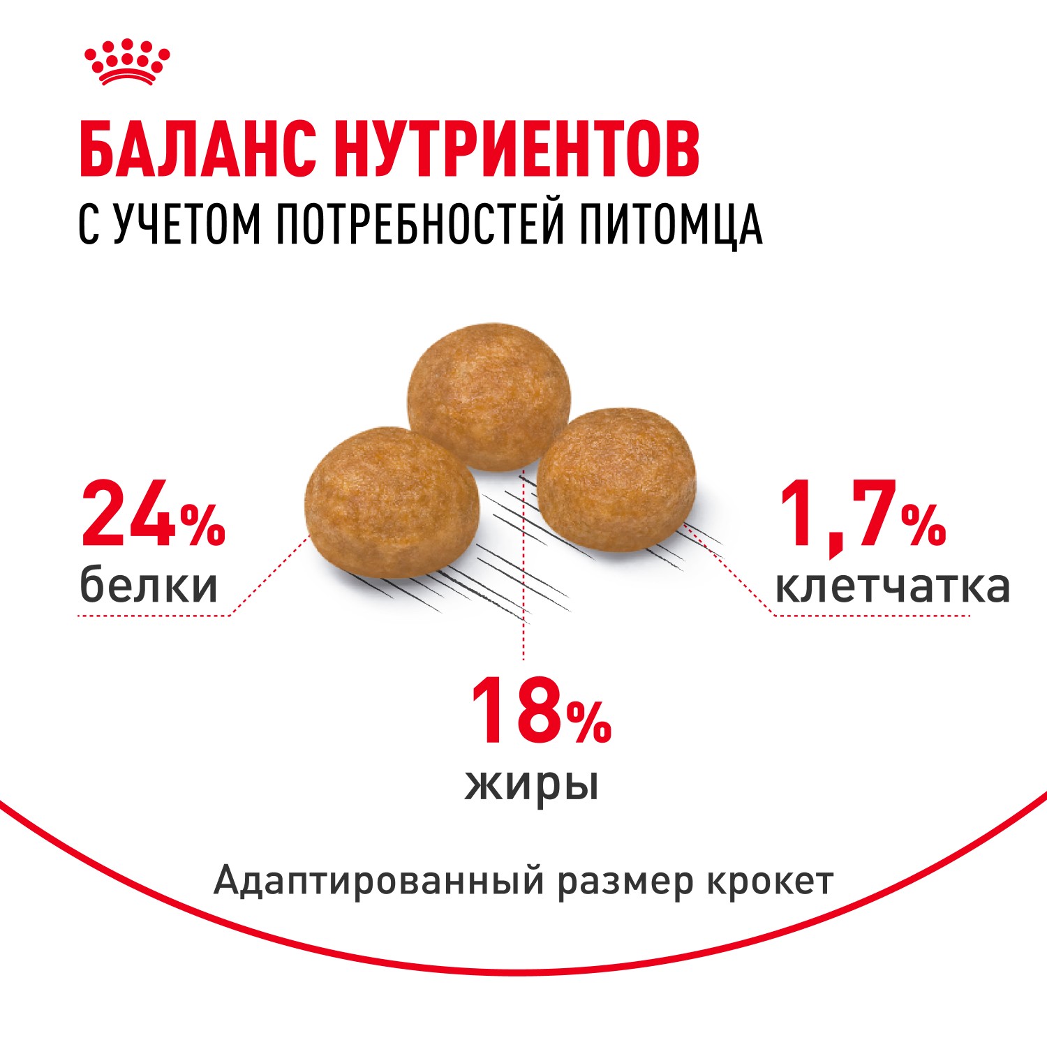 Корм для собак ROYAL CANIN Size X-Small Adult для миниатюрных пород от 10 месяцев до 8 лет сух.