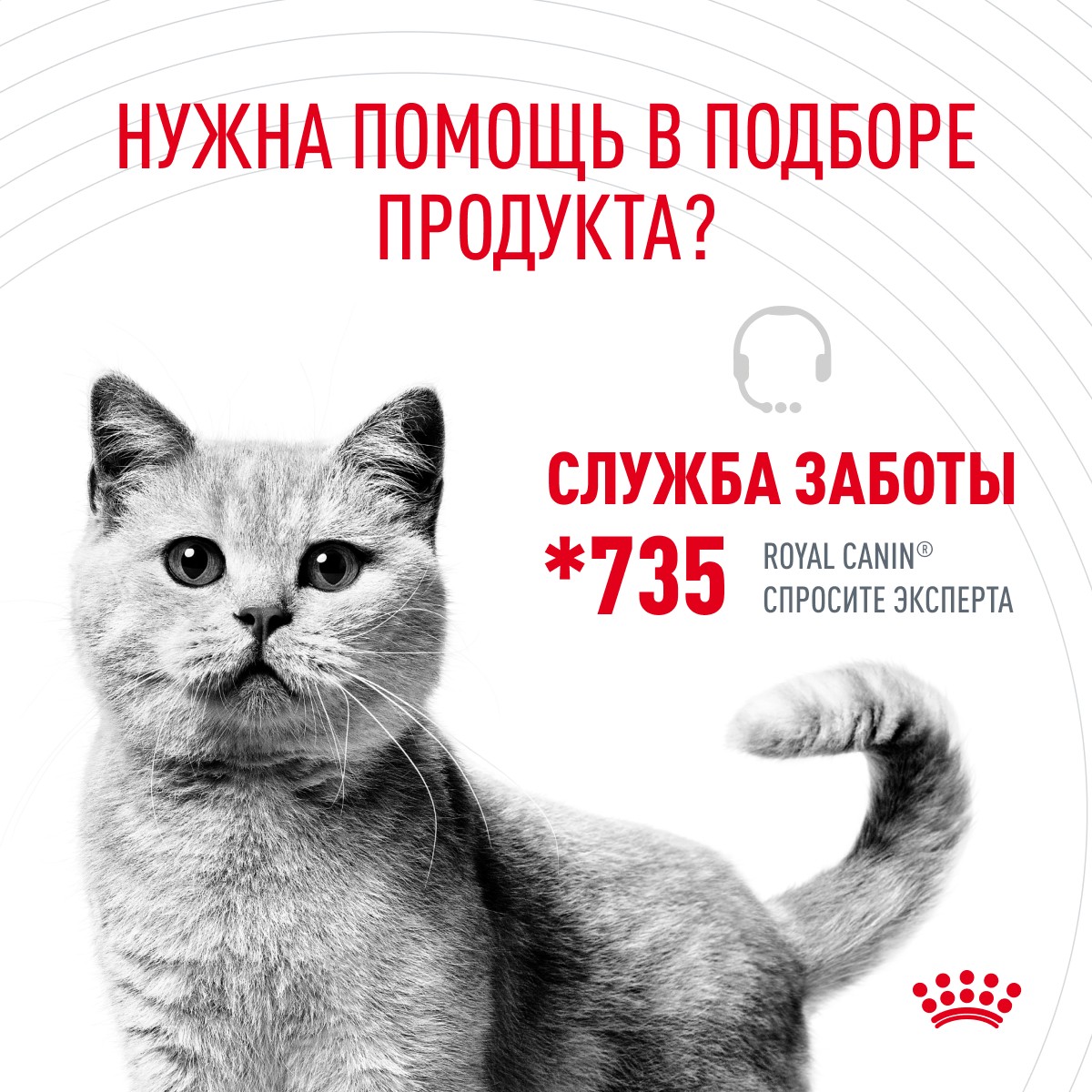 Корм для кошек ROYAL CANIN Hair&Skin для здоровья кожи и шерсти (желе) пауч