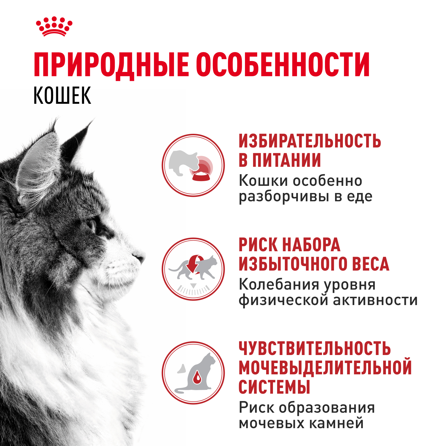 Корм для кошек ROYAL CANIN Instinctive желе пауч