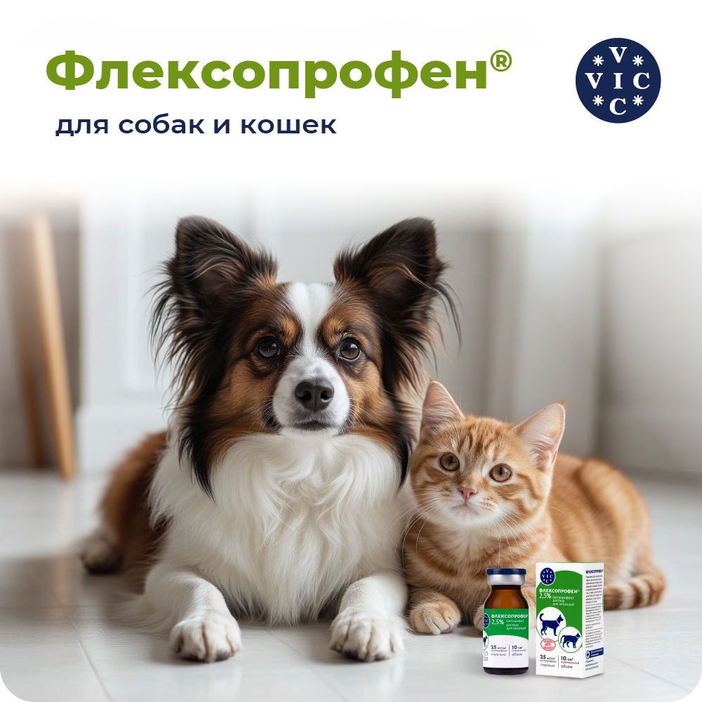Препарат НПВС DOCTOR VIC Флексопрофен для кошек и собак, 2,5% 10мл
