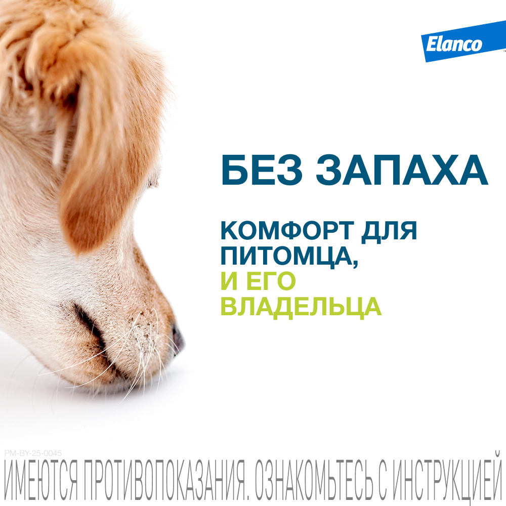 Ошейник для собак ELANCO Форесто от 8кг от клещей, блох и вшей, защита 8 месяцев 70см