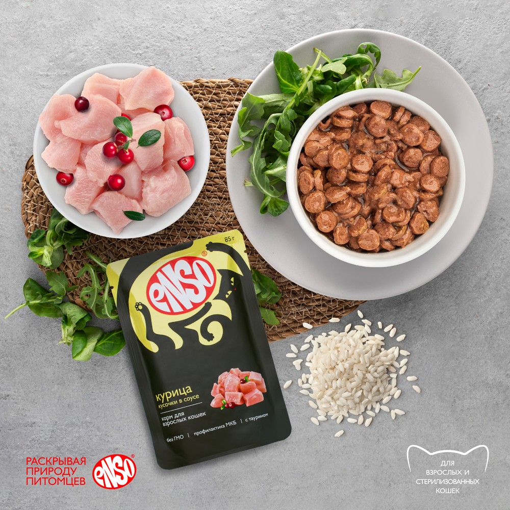 Корм для кошек ENSO кусочки в соусе с курицей пауч