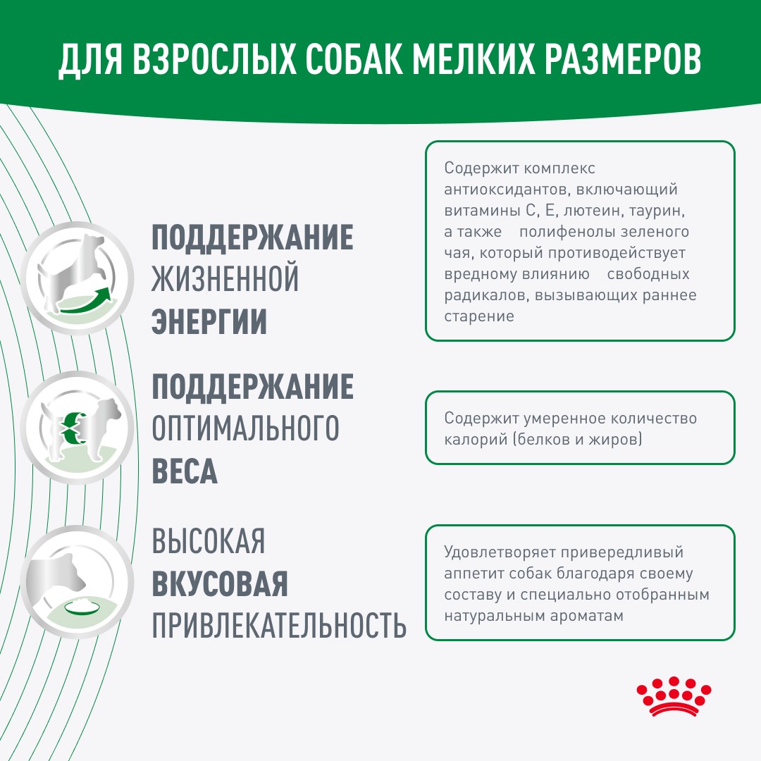 Корм для собак ROYAL CANIN Mini Adult 8+ для мелких пород (до 10кг) старше 8 лет сух.