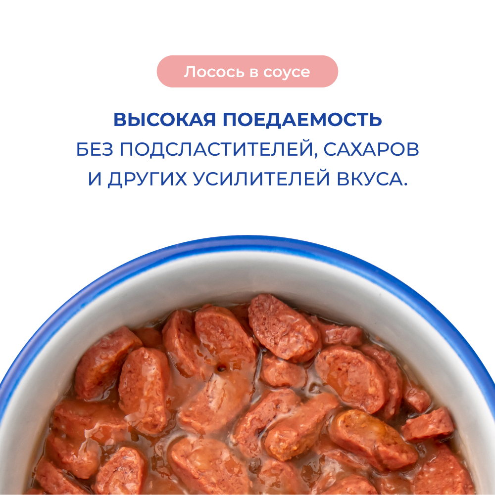 Корм для кошек JARVI для красивой шерсти и здоровой кожи, кусочки в соусе, лосось пауч