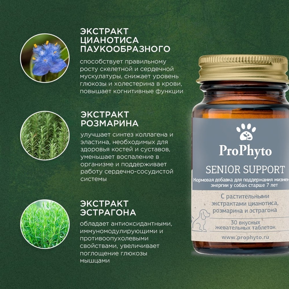 Витамины для собак Prophyto Сеньор Саппорт, 30 таб.