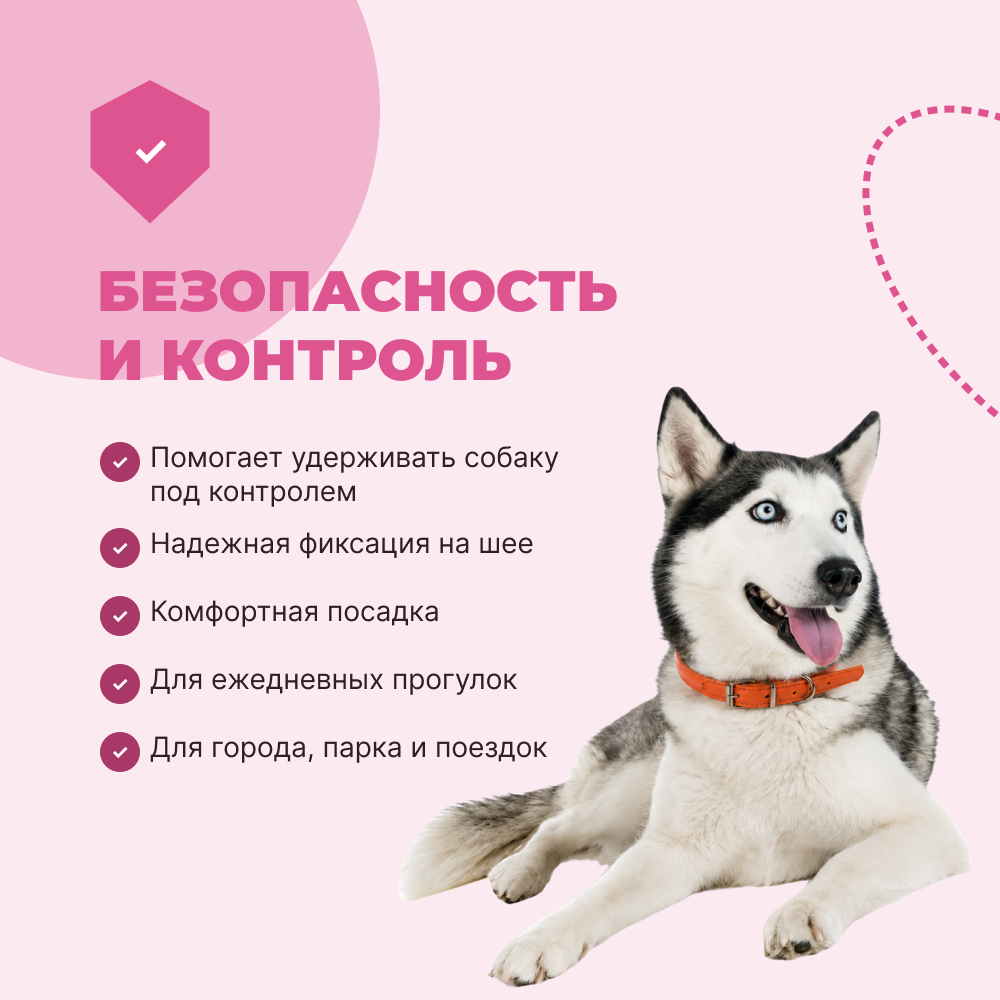 Ошейник для собак FOXIE Gladiolus S 1,5х50см розовый