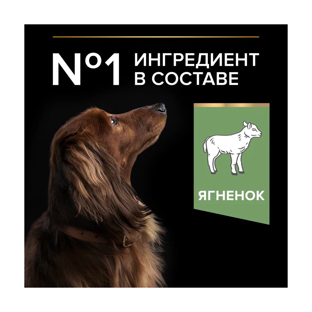 Корм для собак PRO PLAN Sensitive Digestion для мелких пород с чув. пищевар., с ягненком сух.