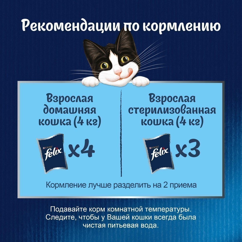 Корм для кошек FELIX Природа вкуса с лососем в соусе пауч