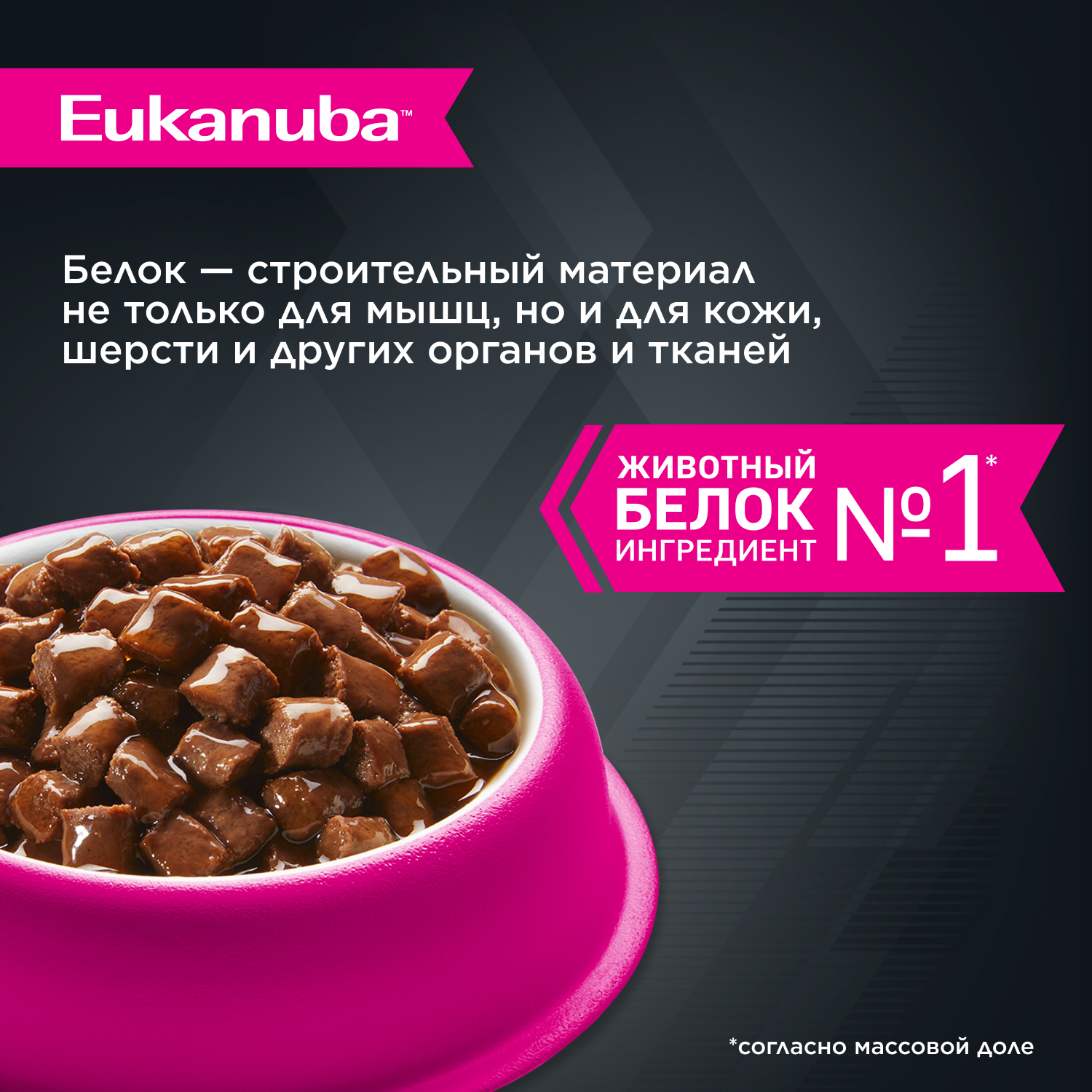Корм для собак EUKANUBA говядина в соусе пауч