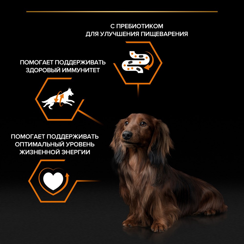 Корм для собак PRO PLAN Everyday Nutrition для мелких пород, с говядиной в соусе пауч