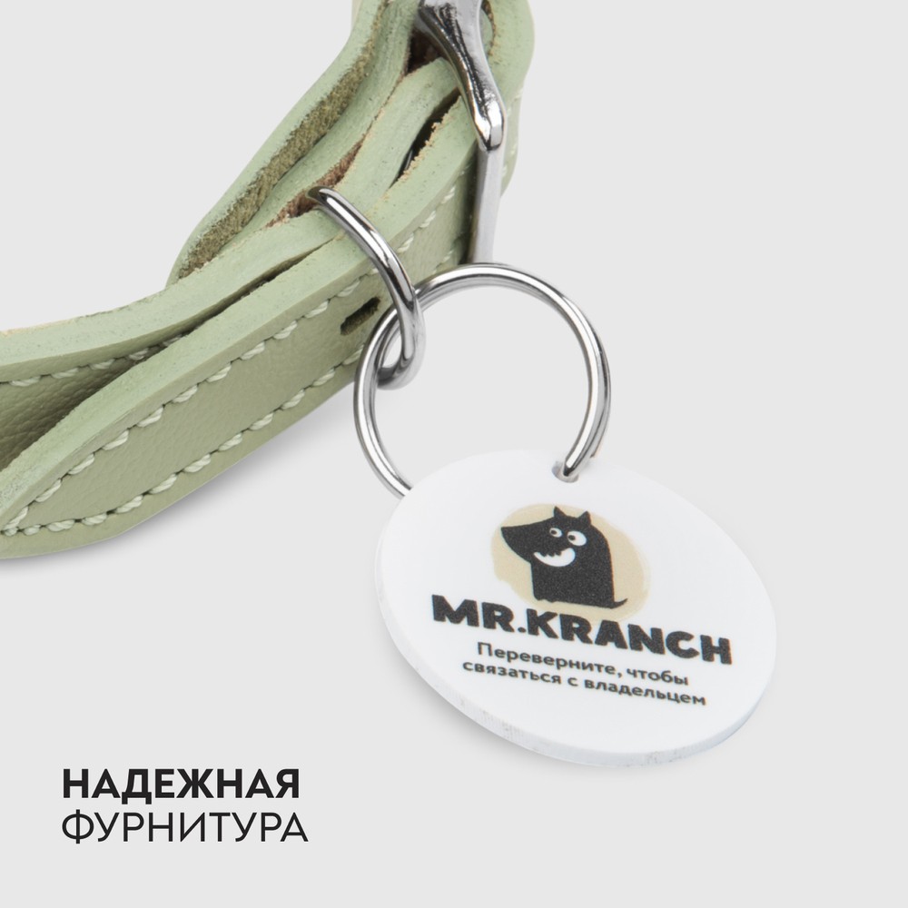 Ошейник-селедка для собак MR.KRANCH из натуральной кожи с QR-адресником, нежно-зеленый 21-25см