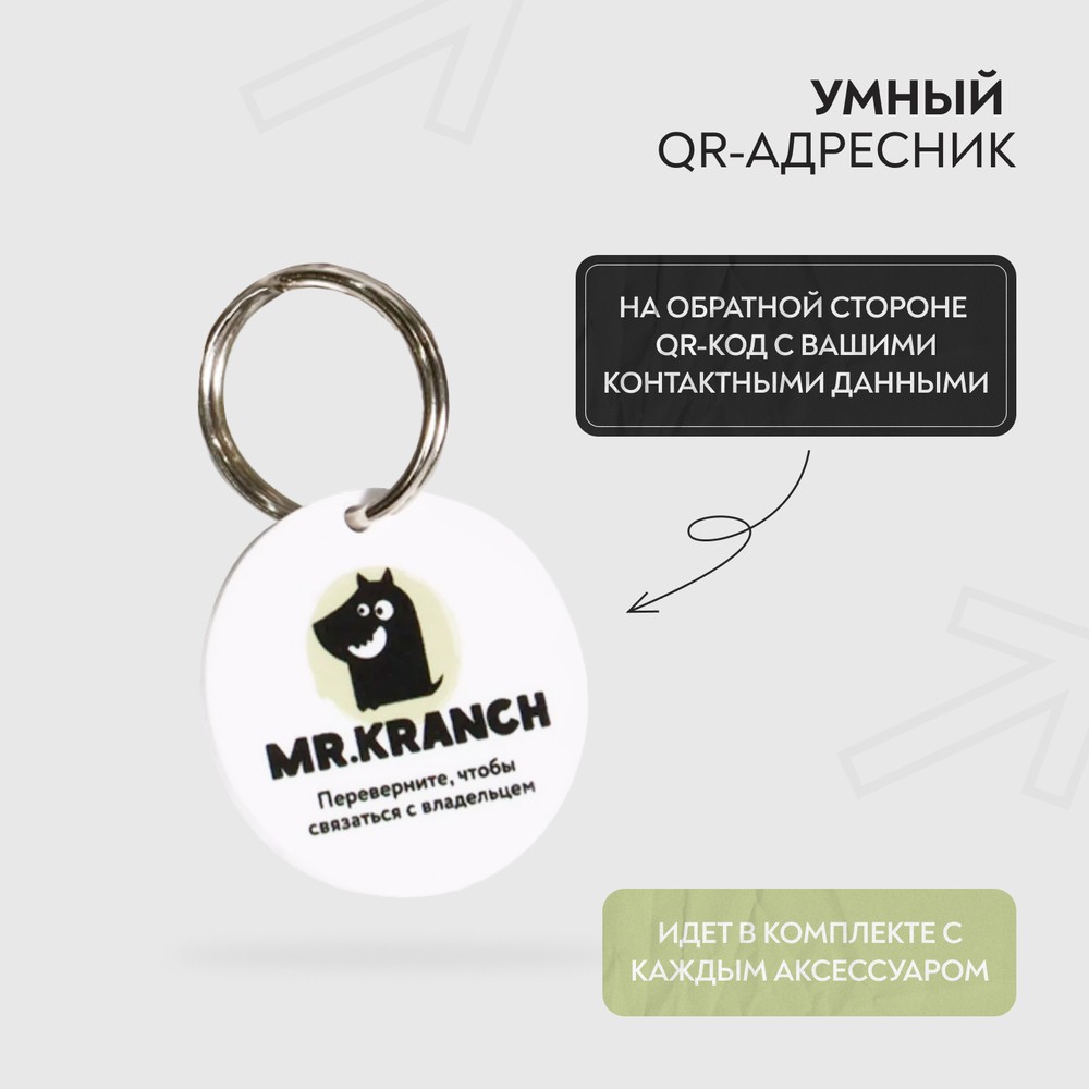 Ошейник-селедка для собак MR.KRANCH из натуральной кожи с QR-адресником, нежно-зеленый 21-25см