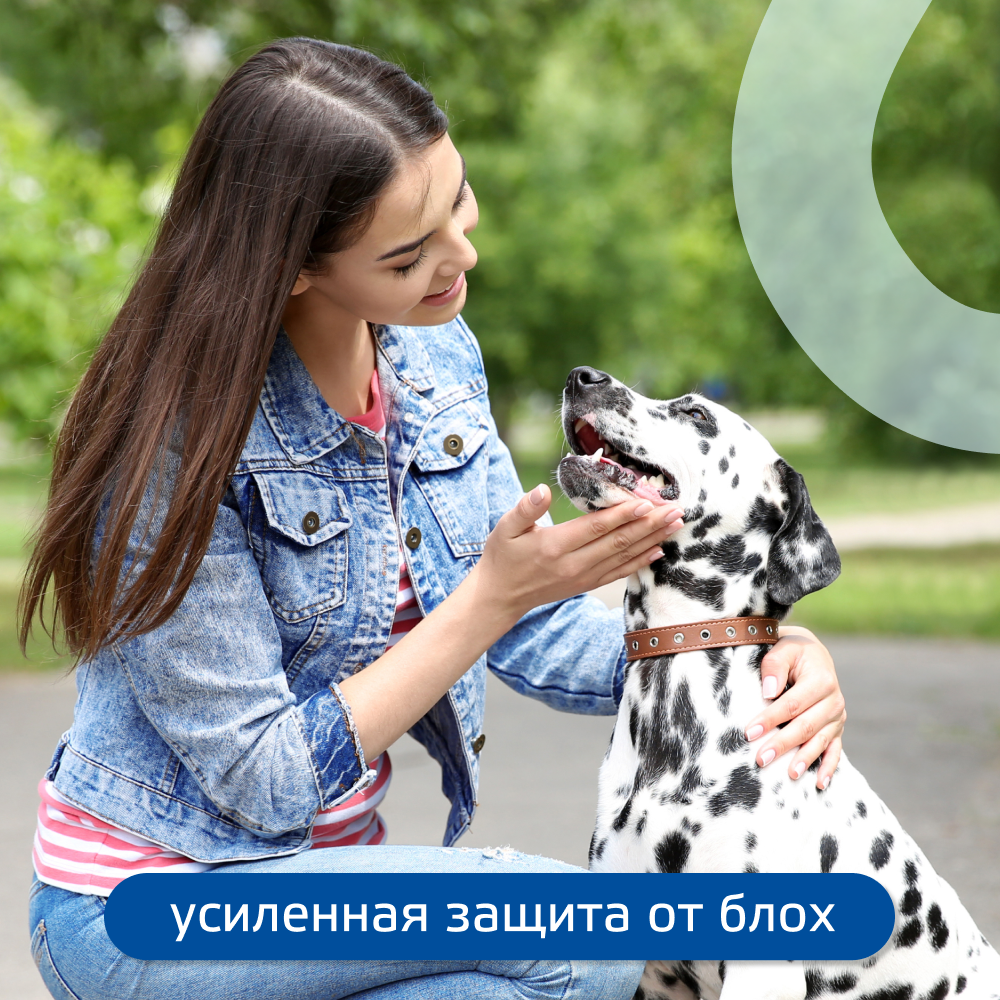 Капли для собак KRKA Фиприст Комбо от клещей и усиленным действием против блох (20-40кг) 2,68мл, 1 пипетка
