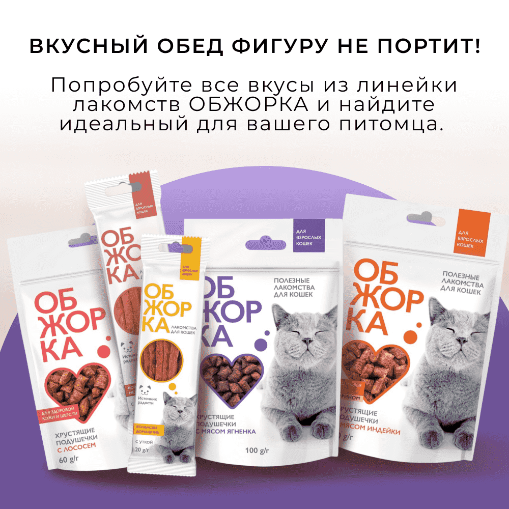 Лакомство для кошек ОБЖОРКА Хрустящие подушечки с паштетом с мясом ягненка