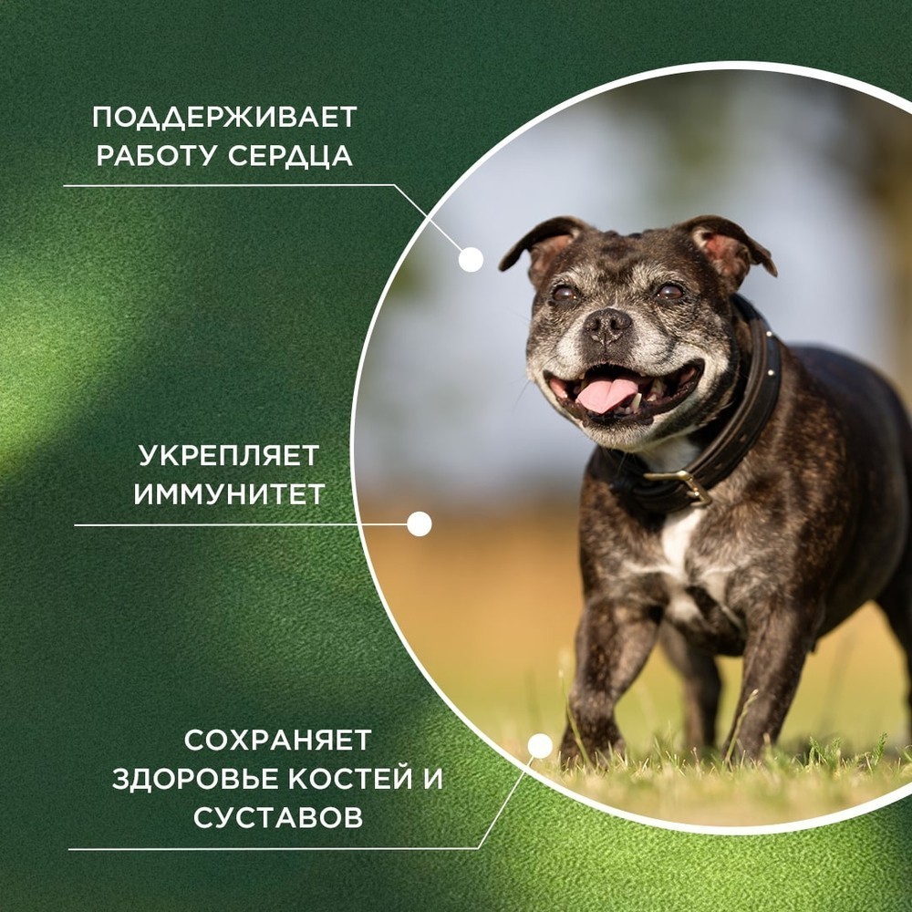 Витамины для собак Prophyto Сеньор Саппорт, 30 таб.