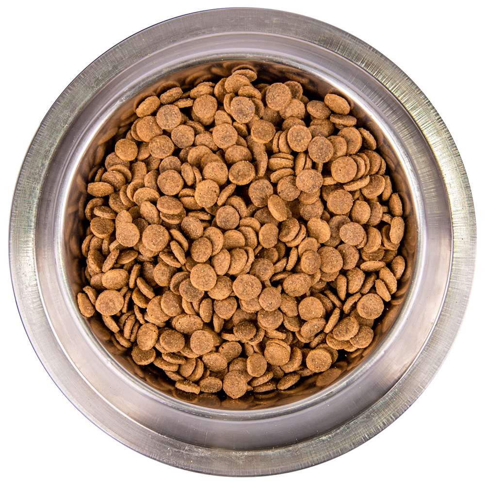 Корм для кошек MONGE Cat BWild Grain Free лосось сух.