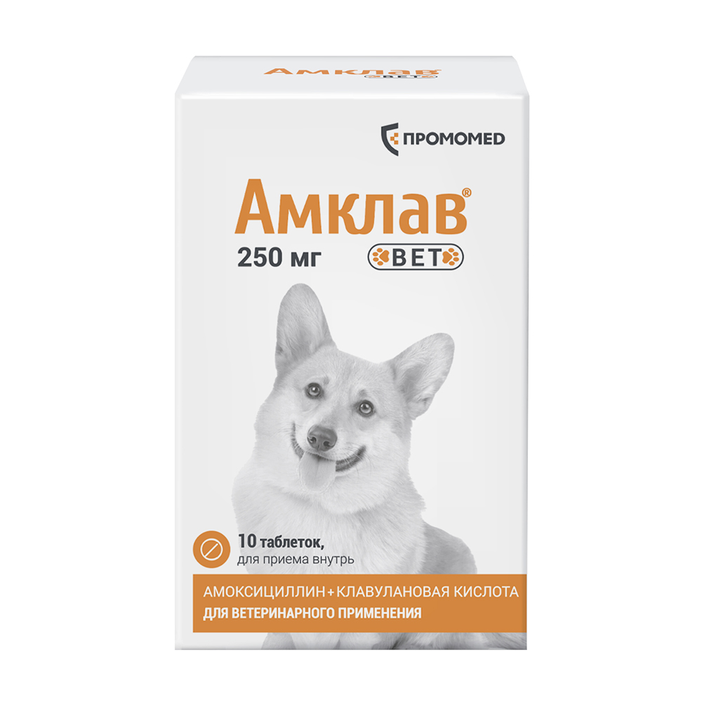 Препарат антибактериальный АМКЛАВ ВЕТ для собак и кошек 250мг 10табл (банка) (рецепт)