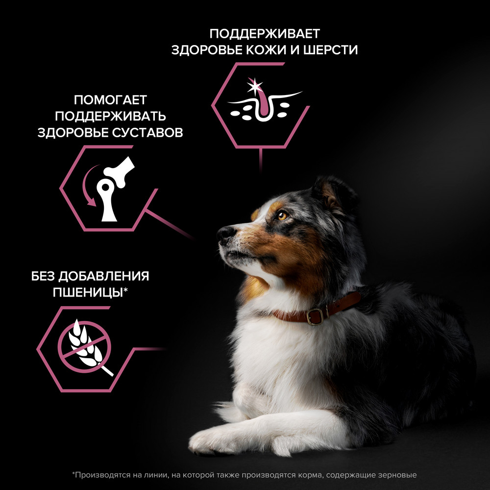 Корм для собак PRO PLAN Sensitive Skin для средних пород с чувствительной кожей, с лососем сух.