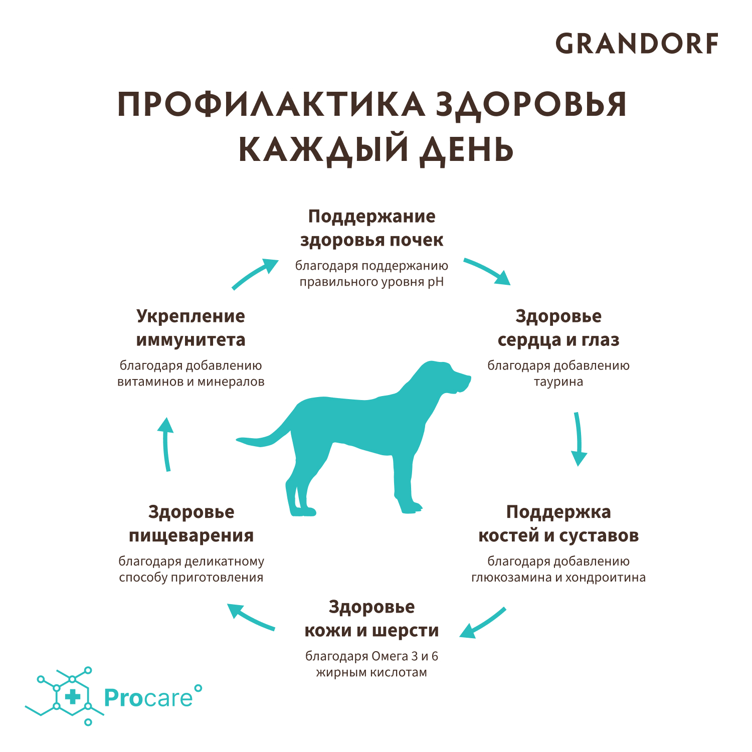 Корм для собак GRANDORF для крупных пород, индейка сух.