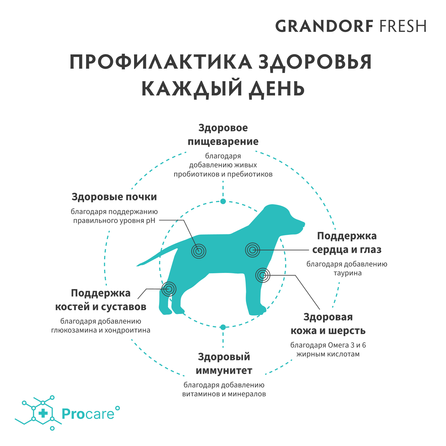 Беззерновой корм с живыми пробиотиками для молодых собак GRANDORF Fresh Dog Свежее мясо ягненка с бататом сух.