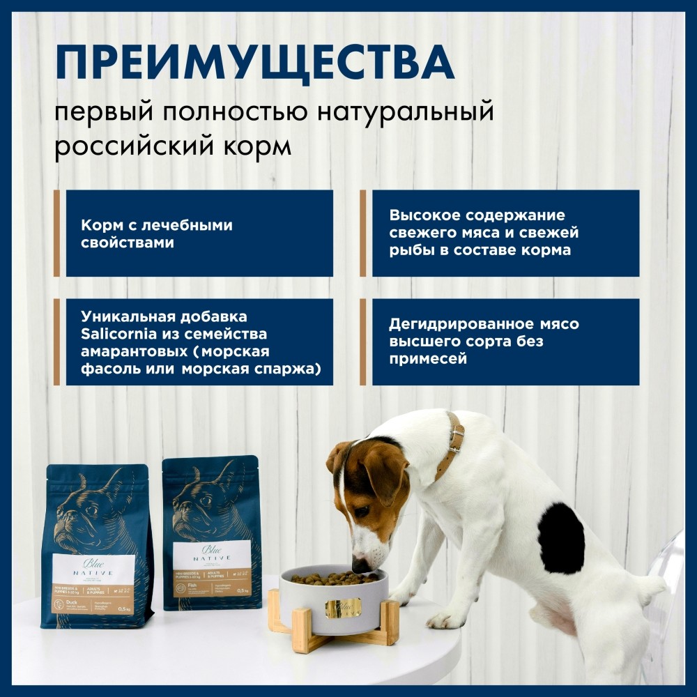 Корм для собак BLUENATIVE для мелких пород, говядина сух.