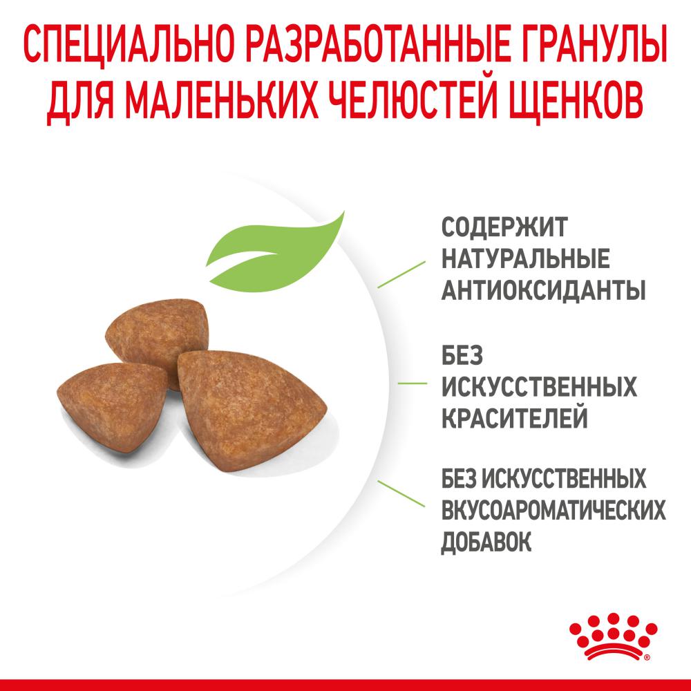 Корм для щенков ROYAL CANIN X-Small Puppy для миниатюрных пород до 10мес. сух.