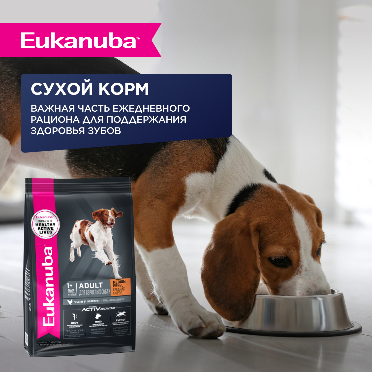Корм для собак EUKANUBA ягненок в соусе пауч