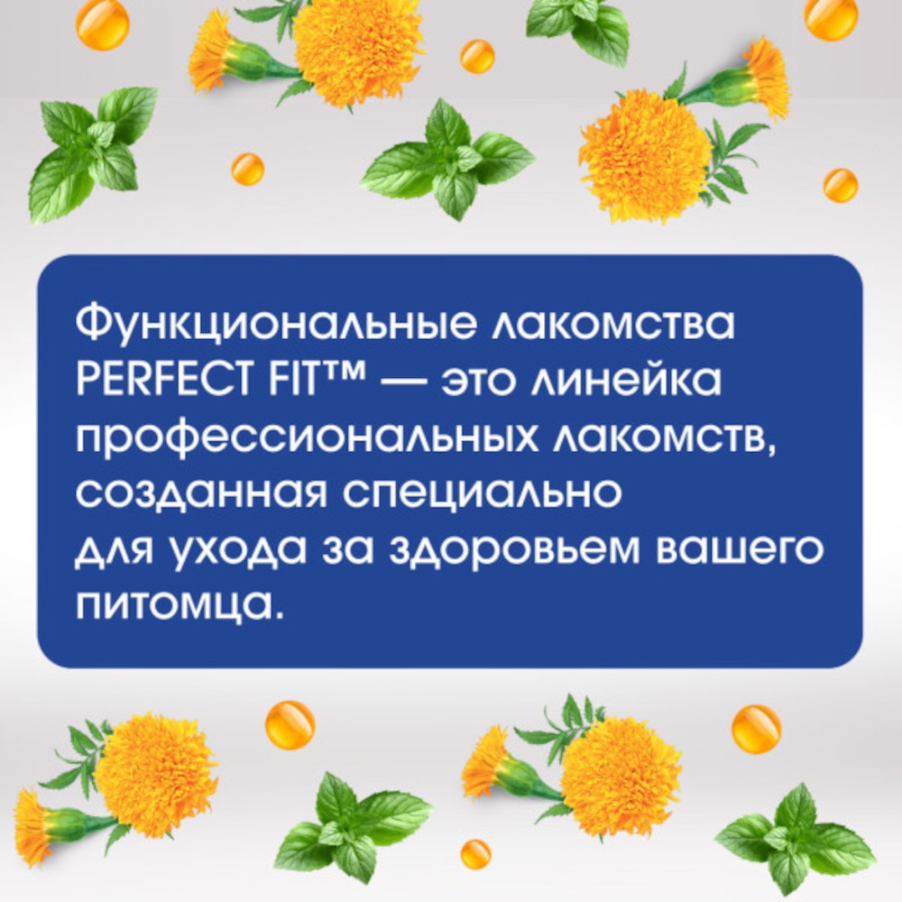 Лакомство для кошек PERFECT FIT Здоровье п/рта курица
