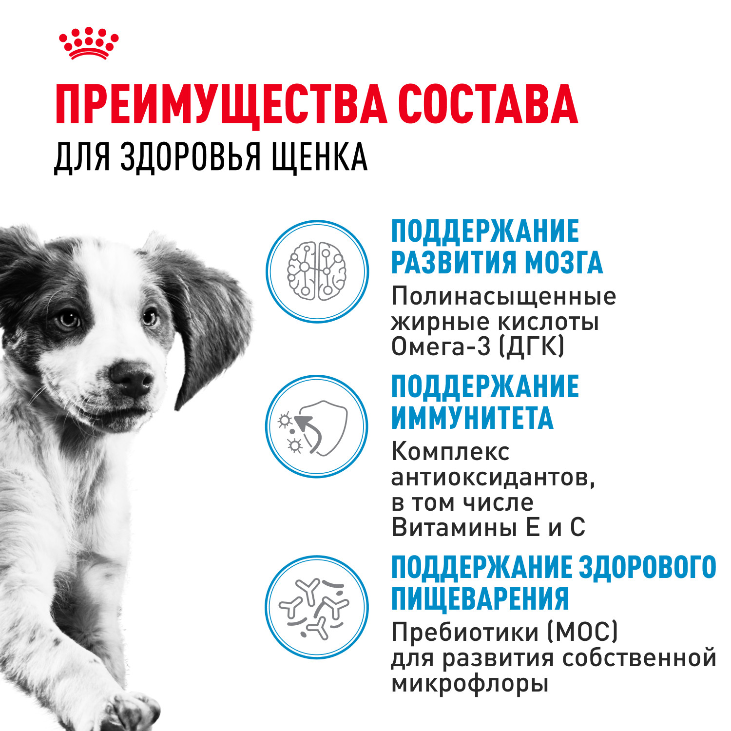 Корм для щенков ROYAL CANIN для средних пород до 12 месяцев пауч