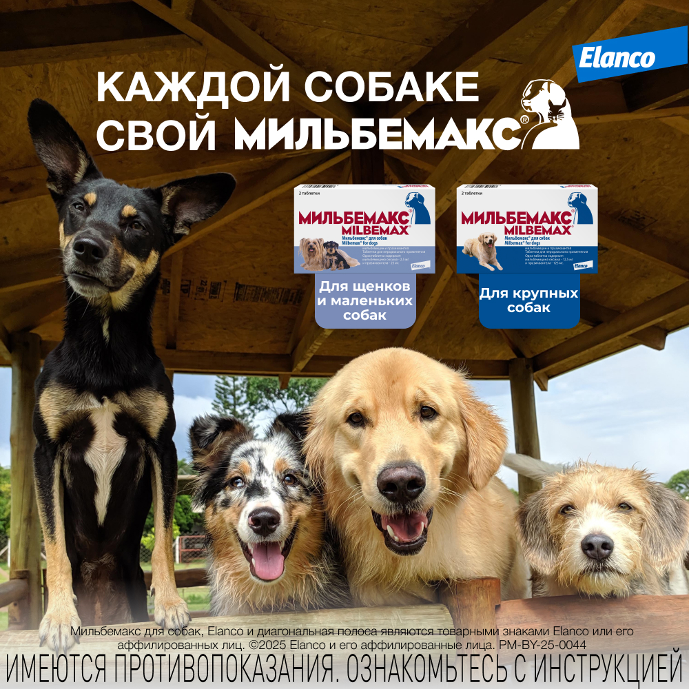 Антигельминтик для собак ELANCO Мильбемакс (5-25кг), 2 таблетки