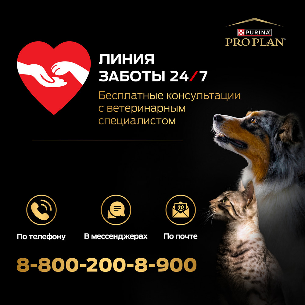 Корм для кошек PRO PLAN Derma Care для здоровья кожи и шерсти, с лососем сух.